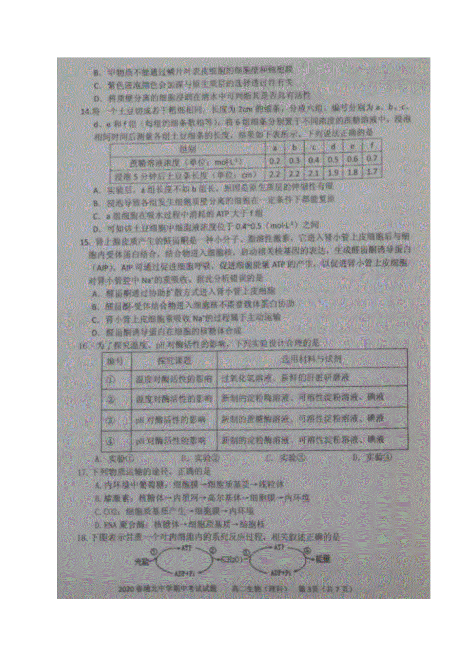 广西浦北中学2019-2020学年高二下学期期中考试生物试题 PDF版含答案.pdf_第3页