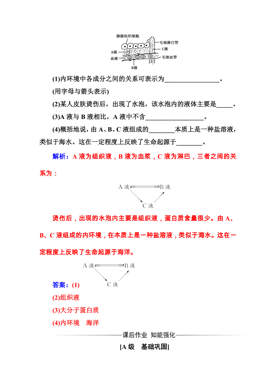 2020秋高中生物人教版必修3课堂演练：第1章 第1节 细胞生活的环境 WORD版含解析.doc_第3页