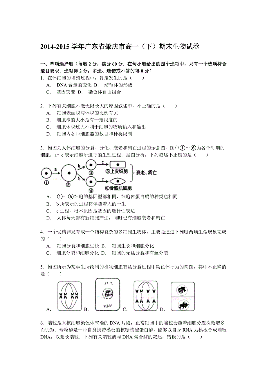 2014-2015学年广东省肇庆市高一（下）期末生物试卷 WORD版含解析.doc_第1页