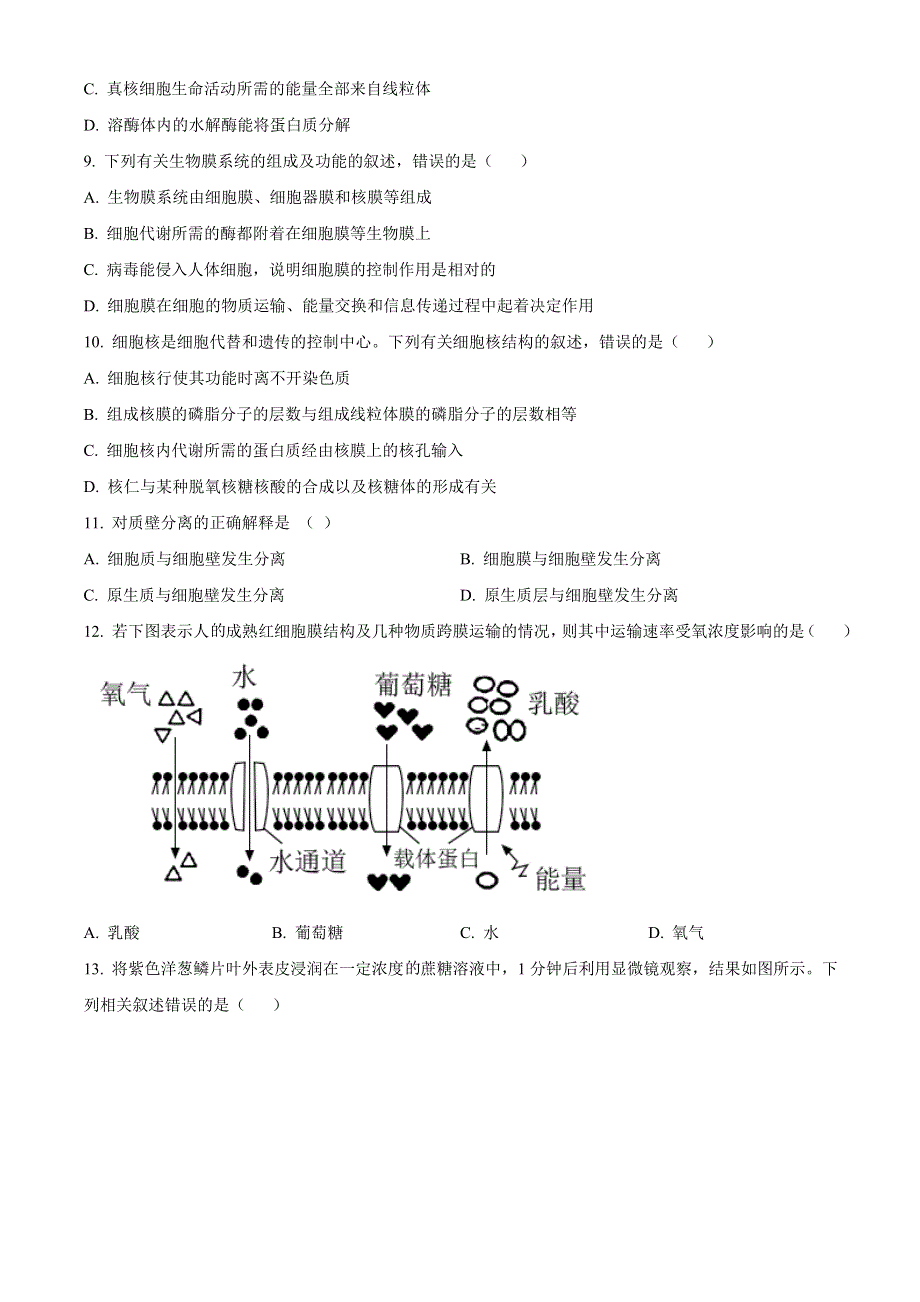 广西玉林市2020-2021学年高一上学期期末质量检测生物试卷 WORD版含答案.doc_第2页