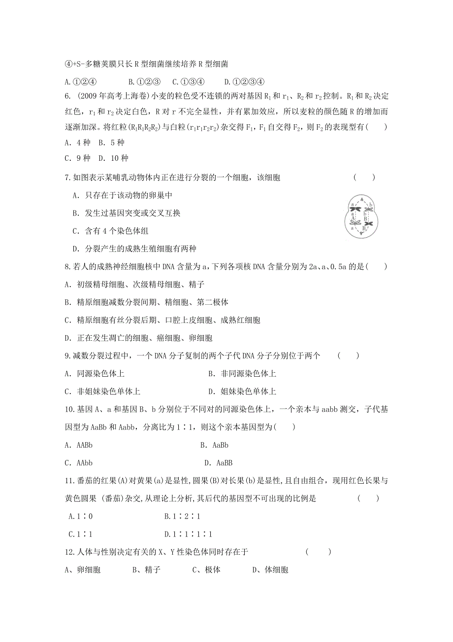 2012年新课标学业水平测试模拟训练：生物的遗传11.doc_第2页