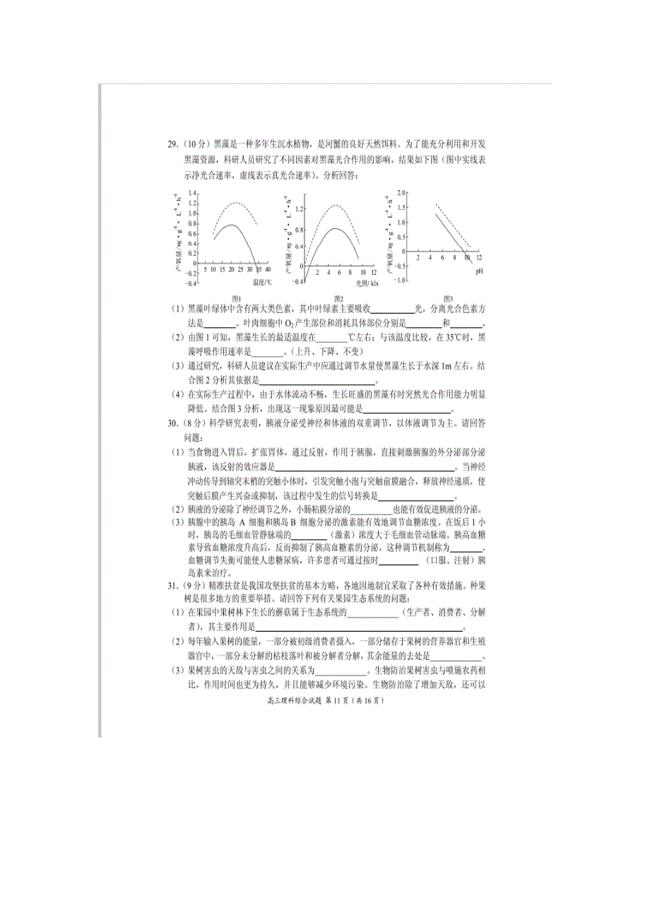 2016届高三联考压轴卷（三）生物试题 扫描版含答案.doc_第3页