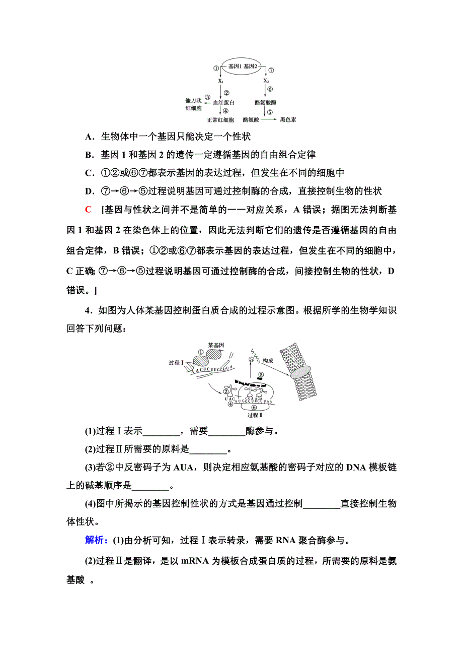 新教材2021-2022学年浙科版生物必修2课后落实：3-4-5 第2课时　基因控制生物性状和中心法则、生物体存在表观遗传现象 WORD版含解析.doc_第2页