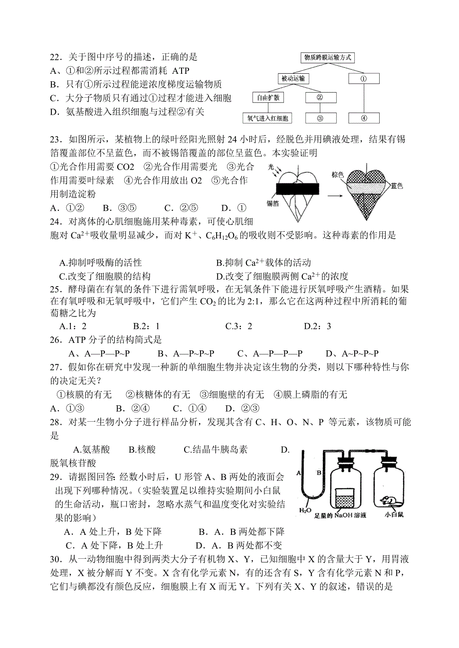 《精编WORD版》广东省揭阳一中2013-2014学年高一下学期第一次阶段考试生物试题 WORD版含答案.doc_第3页