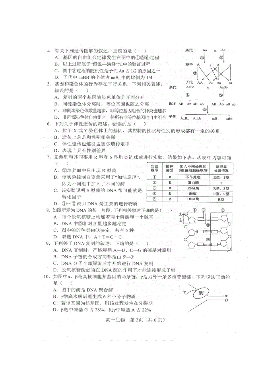 辽宁省沈阳市郊联体2019-2020学年高一生物下学期期末考试试题（扫描版）.doc_第2页