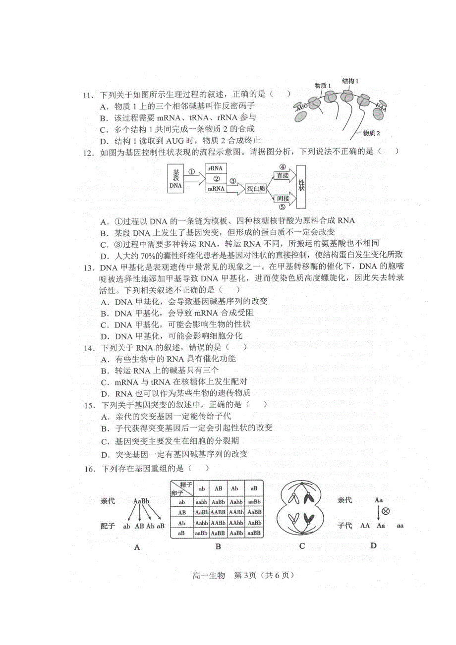 辽宁省沈阳市郊联体2019-2020学年高一生物下学期期末考试试题（扫描版）.doc_第3页