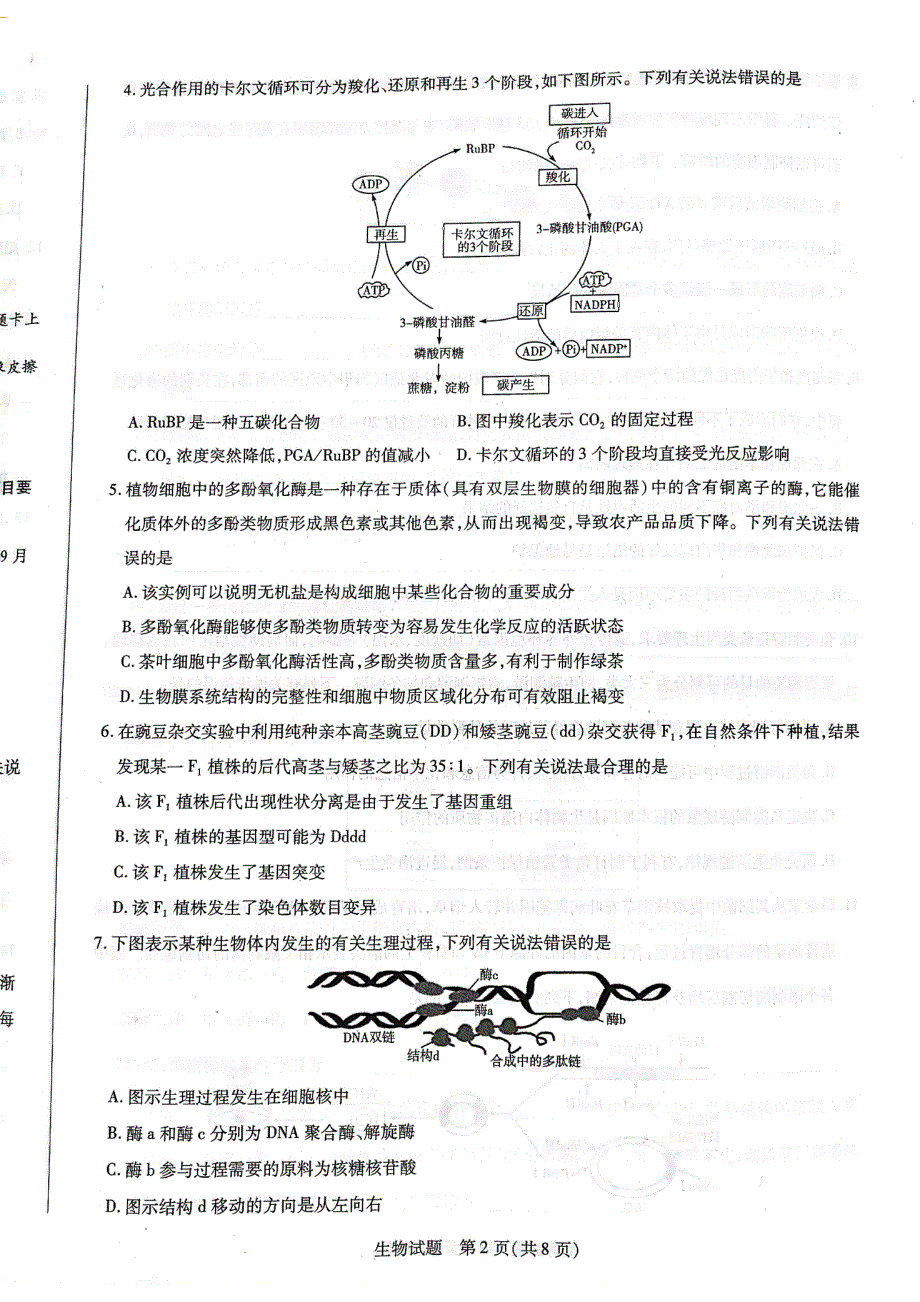 海南省2022届高三下学期学业诊断大联考（五）生物试卷 PDF版含解析.pdf_第2页