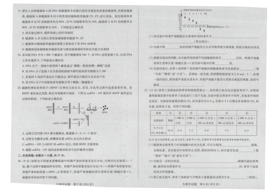 海南省2023-2024高三生物上学期11月学业水平诊断考试试题(一)(pdf).pdf_第3页