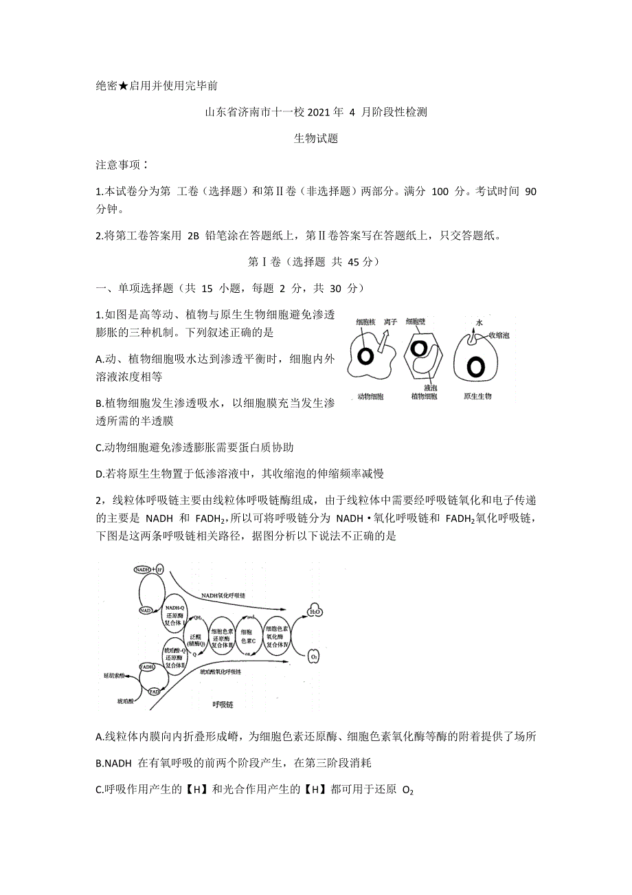 山东省济南市十一校2021届高三下学期4月（联考）阶段性检测生物试题 WORD版含答案.docx_第1页