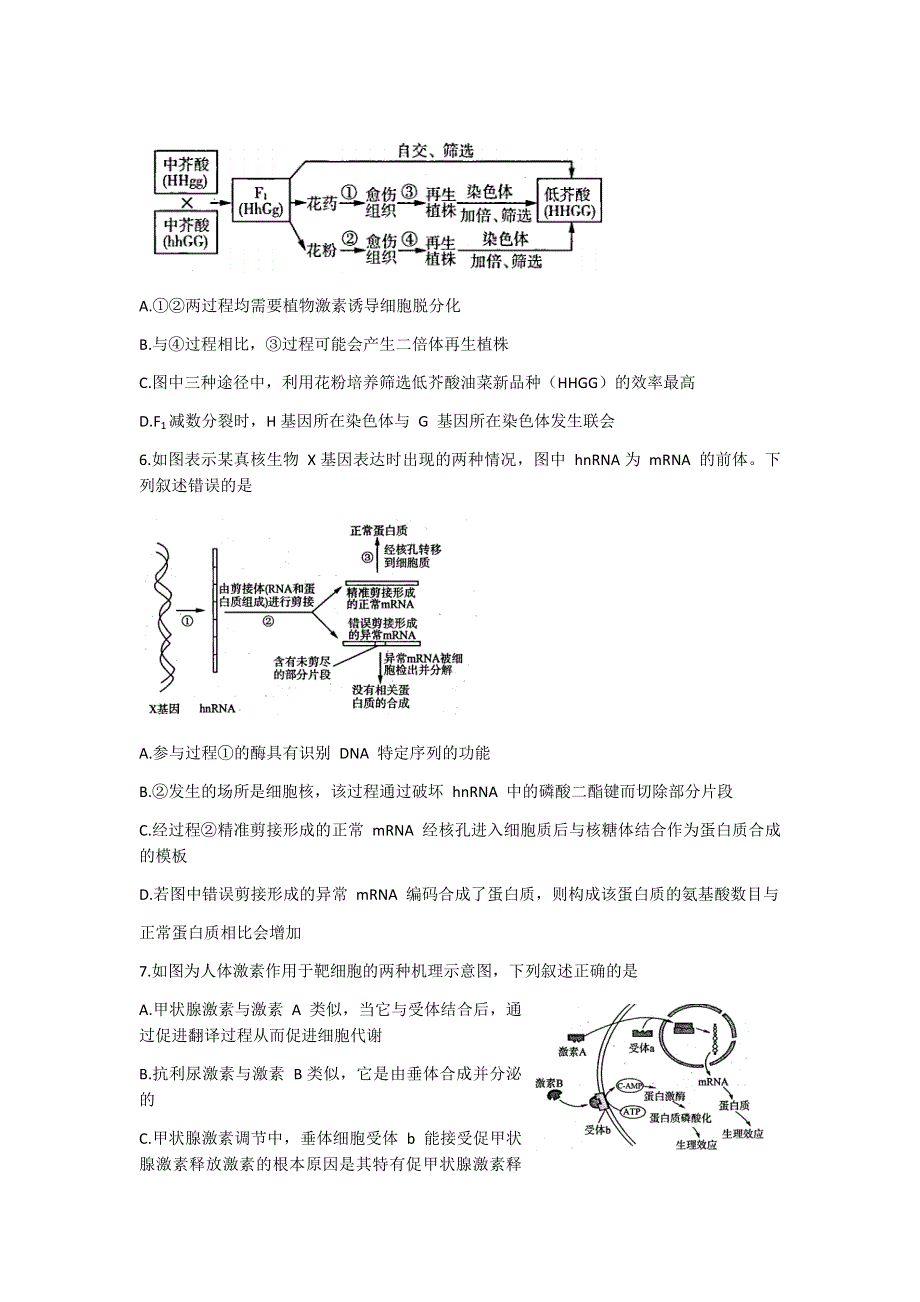 山东省济南市十一校2021届高三下学期4月（联考）阶段性检测生物试题 WORD版含答案.docx_第3页