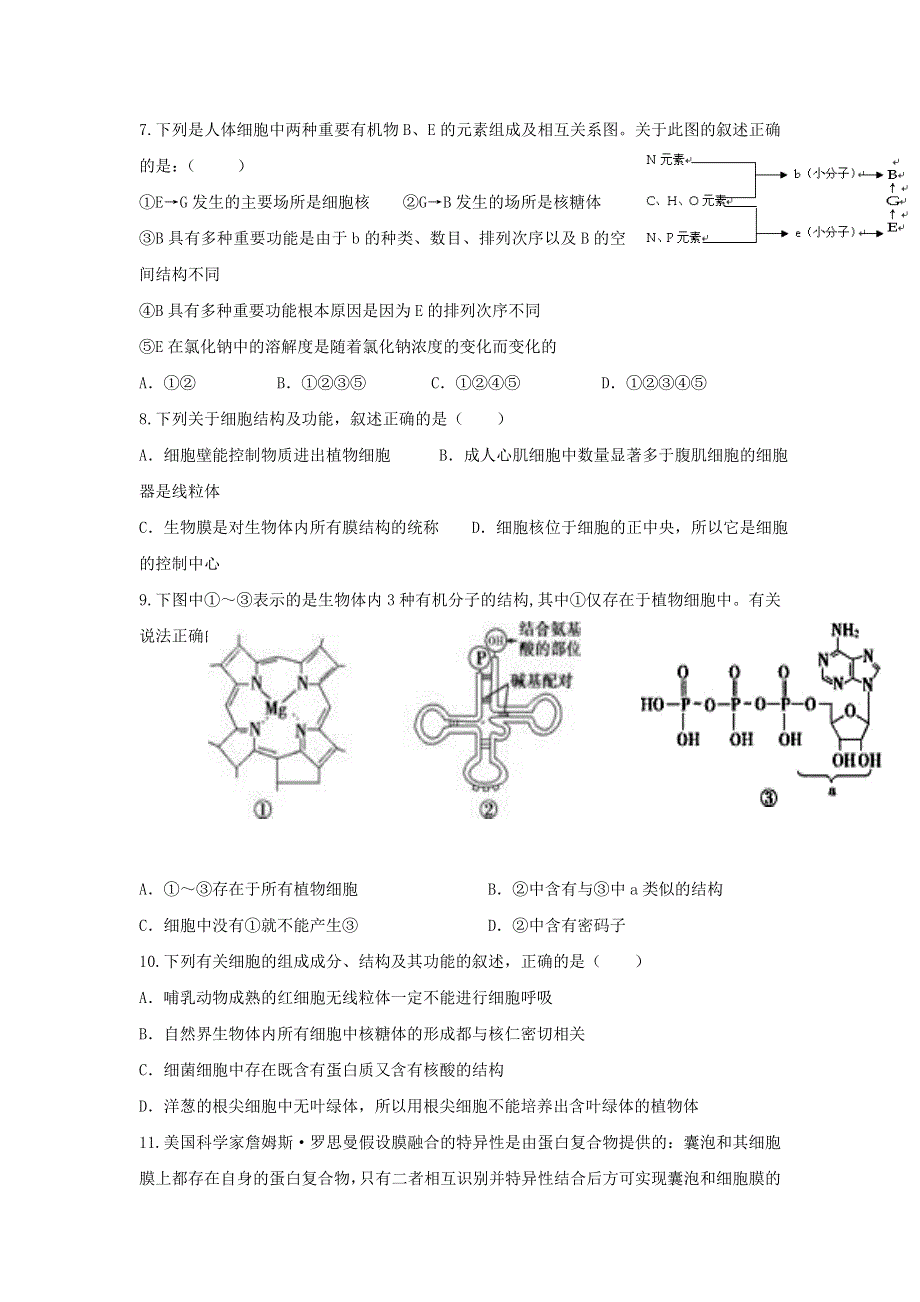 内蒙古内蒙古北方重工业集团有限公司第三中学2015届高三10月月考生物试题.doc_第2页