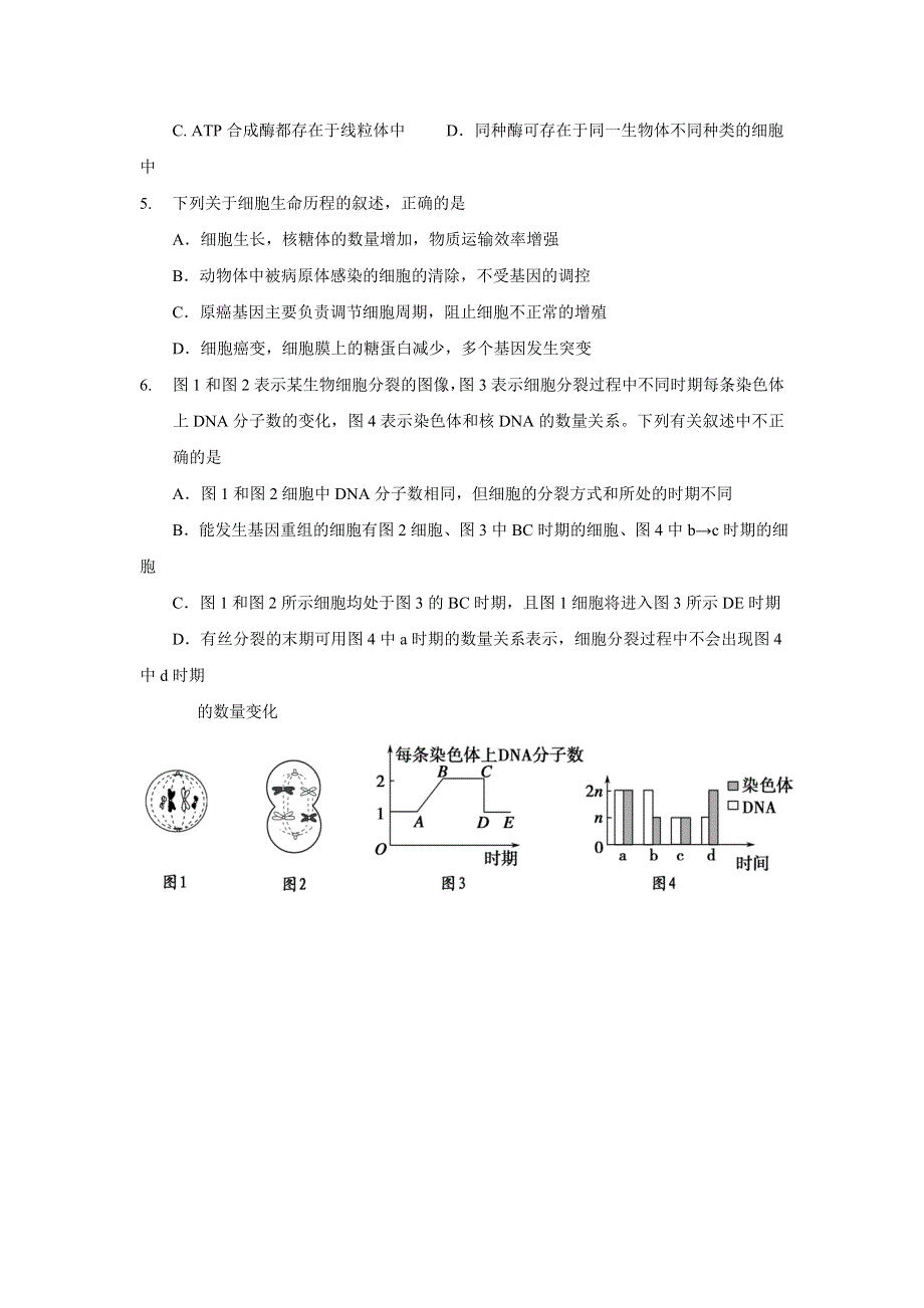 广东省揭阳一中2017届高三上学期第一次阶段考试生物试题 WORD版含答案.doc_第2页