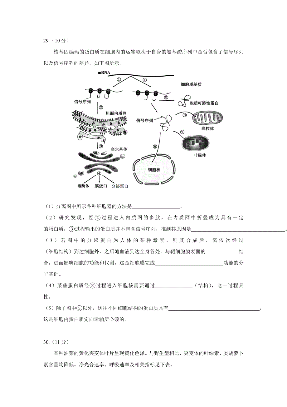 广东省揭阳一中2017届高三上学期第一次阶段考试生物试题 WORD版含答案.doc_第3页