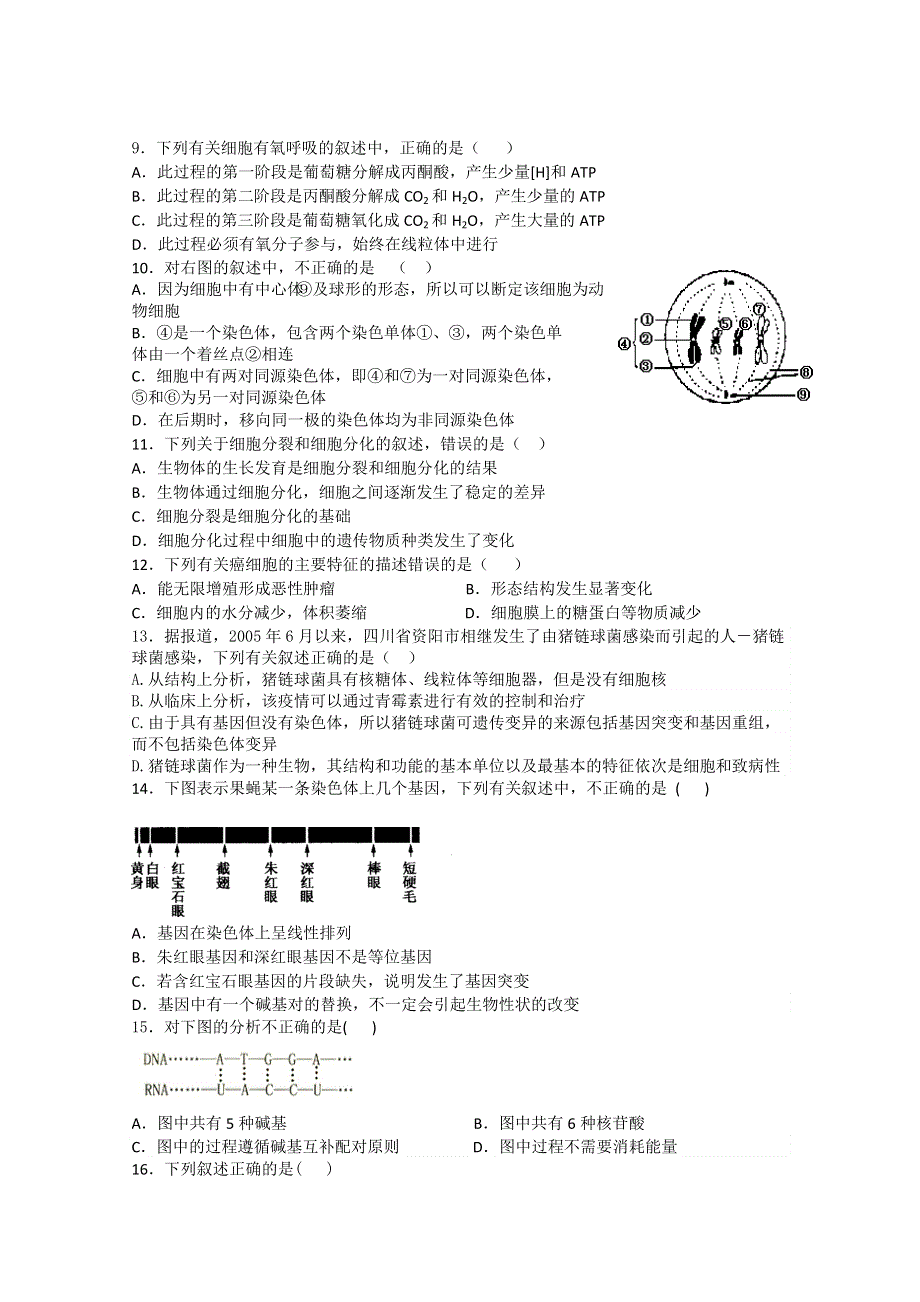 四川省邛崃一中2013届高三10月月考生物试题.doc_第2页