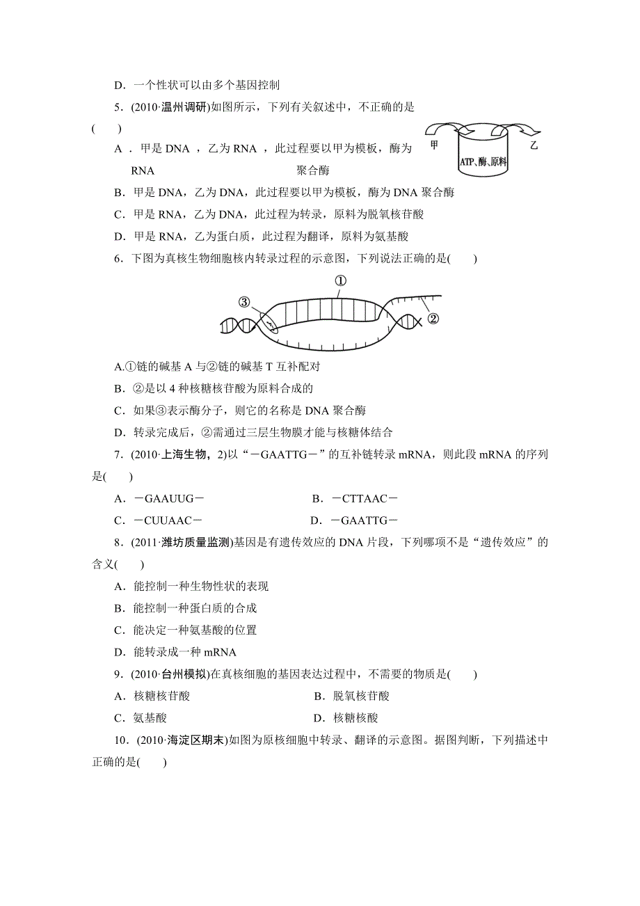 2012年高考一轮复习第五单元第21讲　遗传信息的表达——RNA和蛋白质的合成.doc_第2页