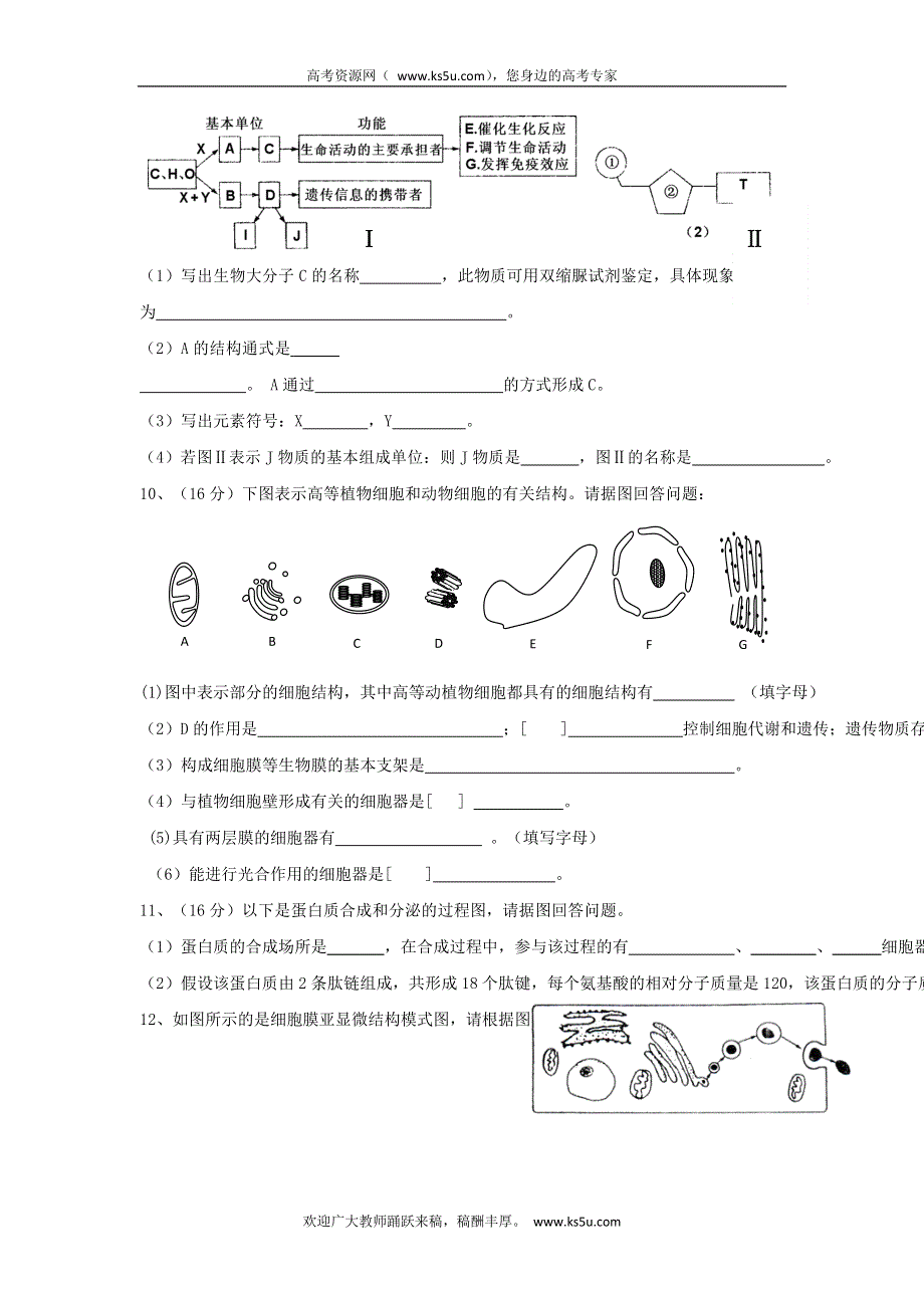 广东省揭阳三中2014-2015学年高一上学期期中考试生物试题 WORD版含答案.doc_第3页