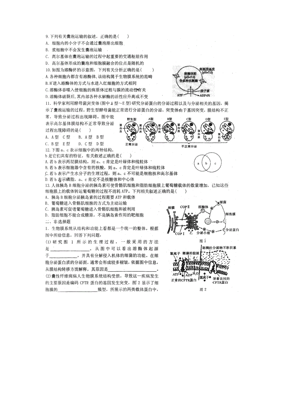 广西钦州市第三中学2017届高三生物专题一 生物的物质基础和结构基础练习（二） 扫描版含答案.doc_第2页