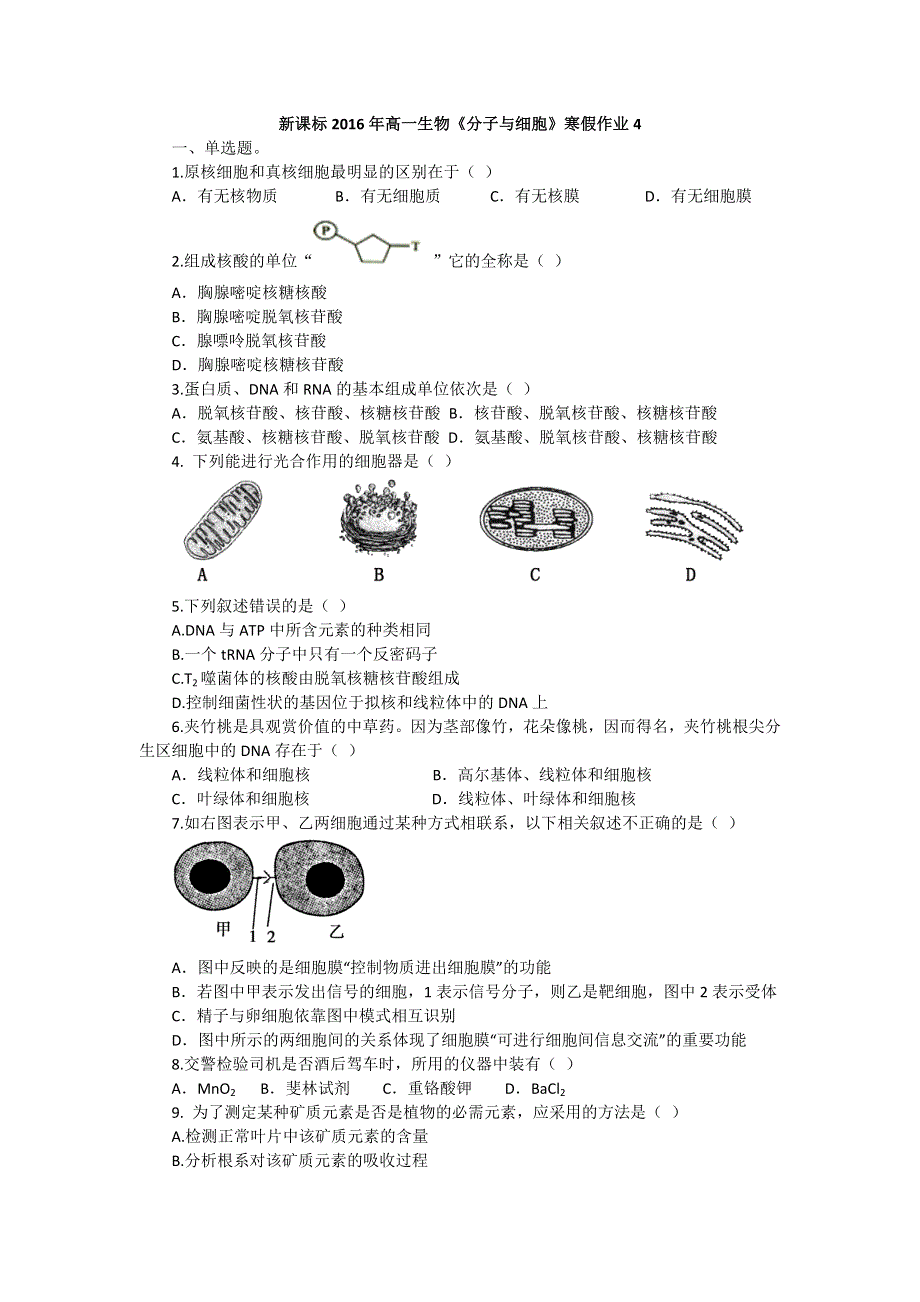 《原创》新课标2016年高一生物寒假作业4 WORD版含答案.doc_第1页