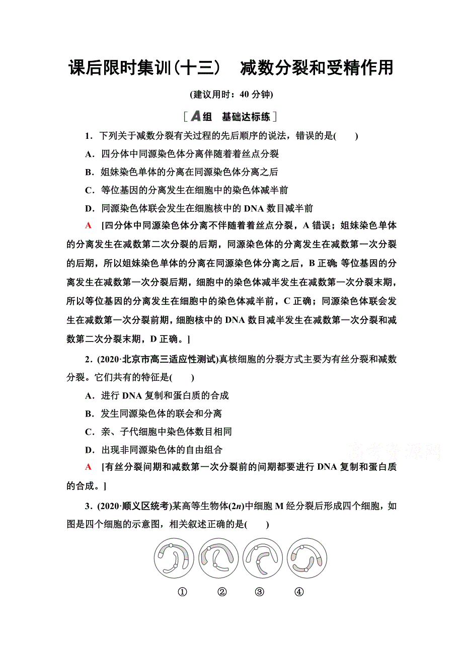 2022届高考统考生物人教版一轮复习课后限时集训：13　减数分裂和受精作用 WORD版含解析.doc_第1页