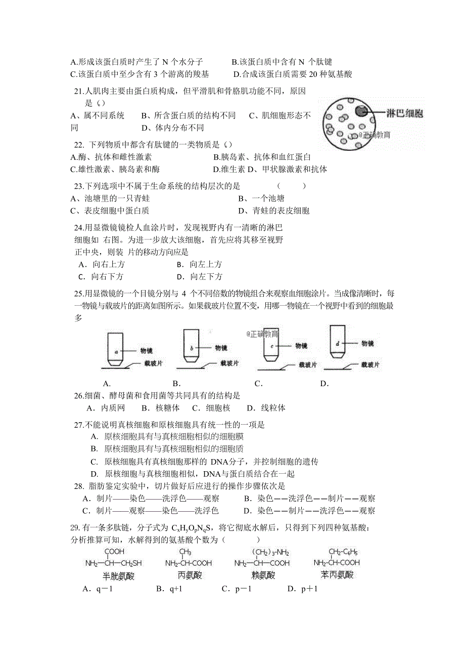 四川省邻水实验学校2018-2019学年高一上学期期中考试生物试卷 WORD版含答案.doc_第3页