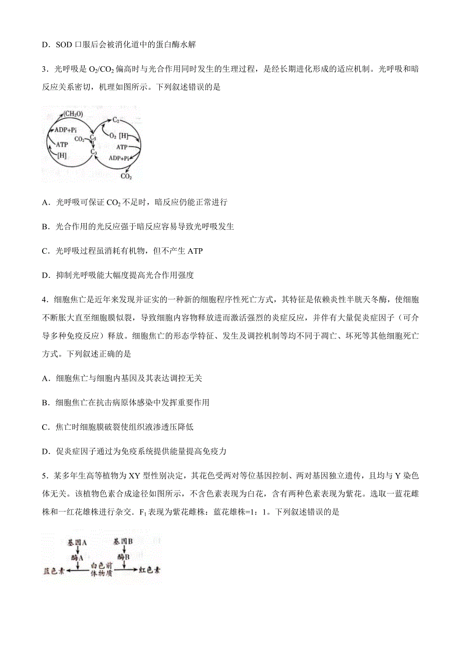 山东省潍坊市2021届高三下学期3月一模考试生物试题 WORD版含答案.docx_第2页