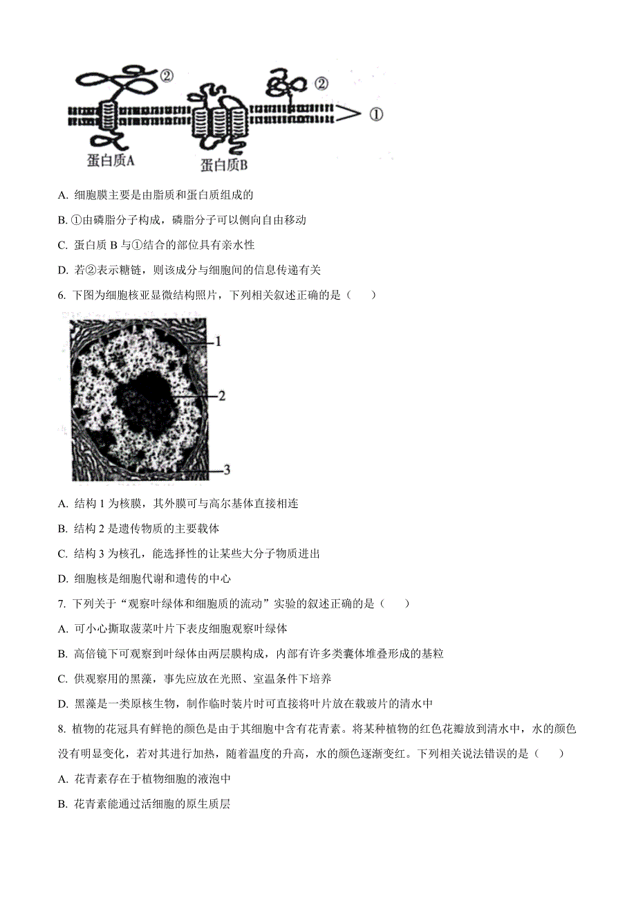 山东省潍坊市2022-2023学年高一下学期开学测试生物试题 WORD版含答案.docx_第2页