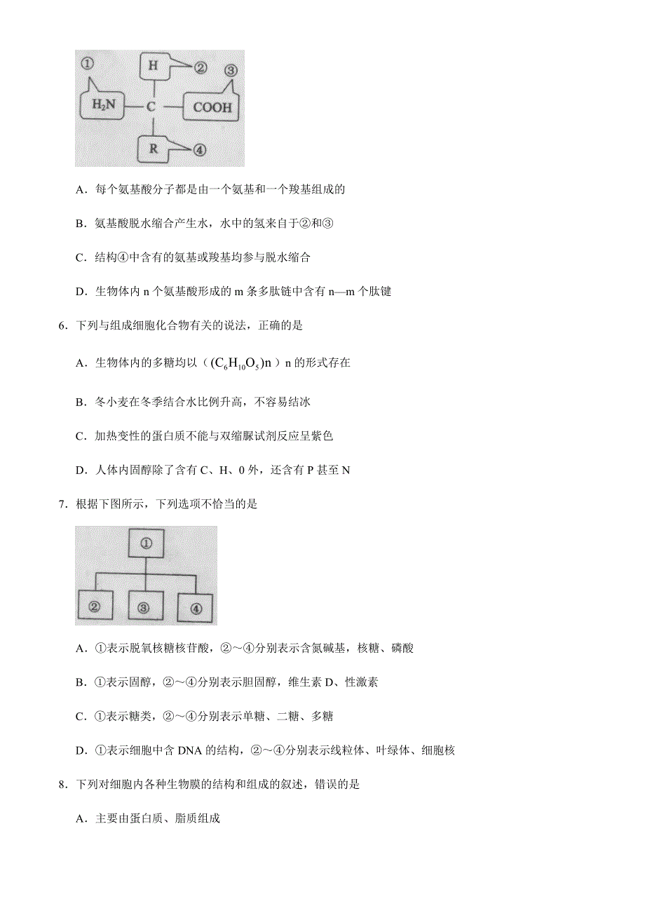 山东省潍坊市临朐县实验中学2020-2021学年高一上学期期中考试生物试题 WORD版含答案.docx_第3页