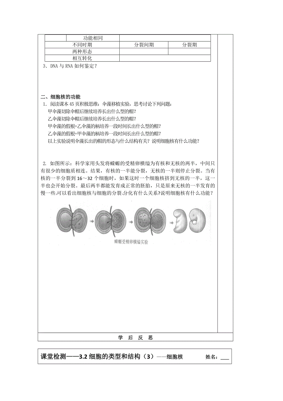 《原创》江苏省2013—2014学年生物（苏教版）必修一同步导学案：3.2细胞的结构和功能（3）细胞核.doc_第2页