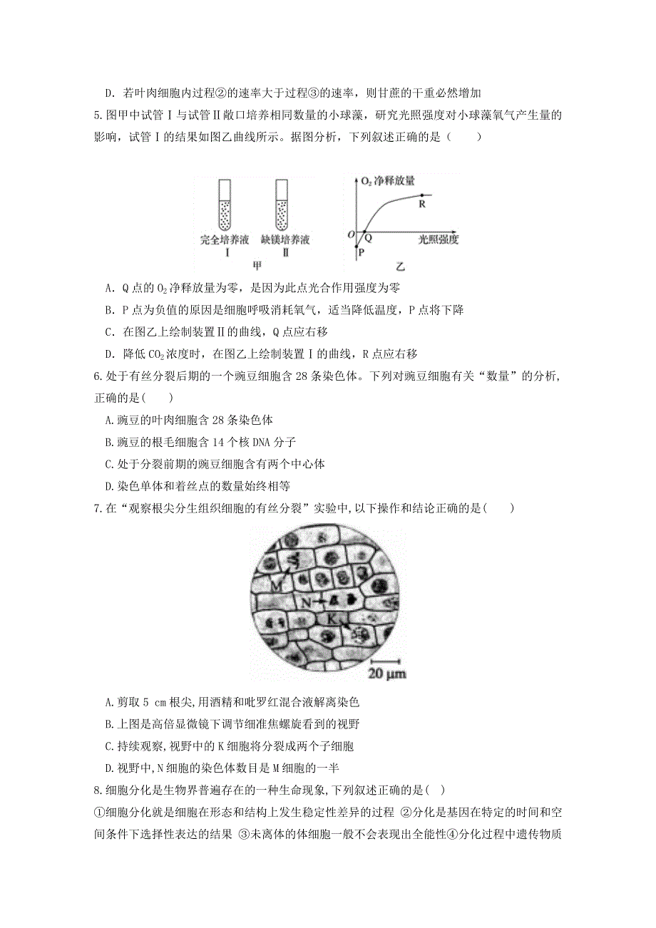 四川省遂宁市船山区第二中学校2019-2020学年高一生物下学期期中试题.doc_第2页