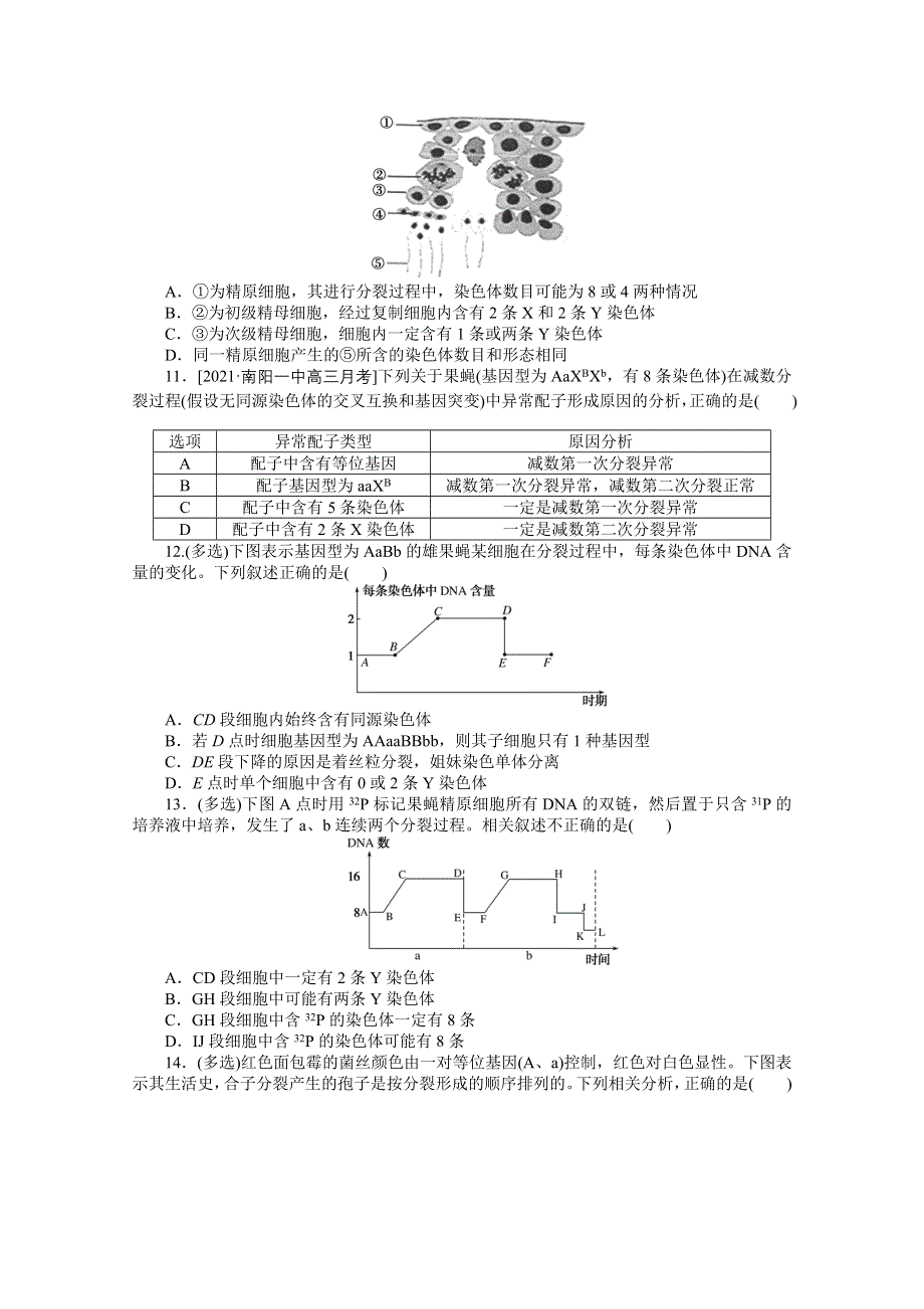 2022届新高考生物一轮复习课后检测：14 减数分裂和受精作用（二） WORD版含解析.docx_第3页