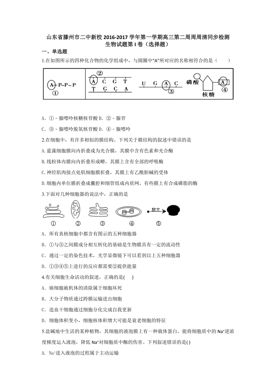 山东省滕州市二中新校2017届高三上学期第二周周周清同步检测生物试题 WORD版含答案.doc_第1页