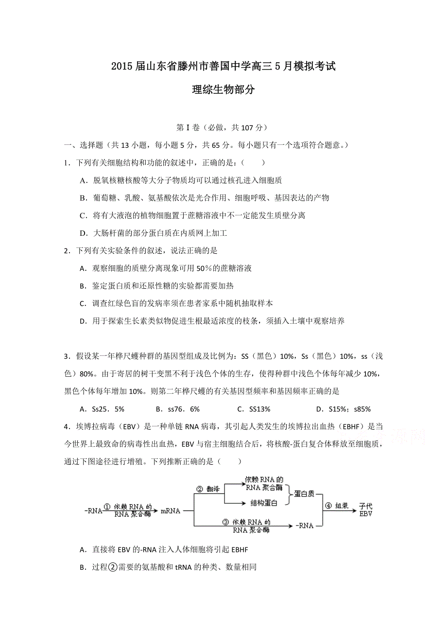 山东省滕州市善国中学2015届高三5月模拟考试生物试题 WORD版含答案.doc_第1页