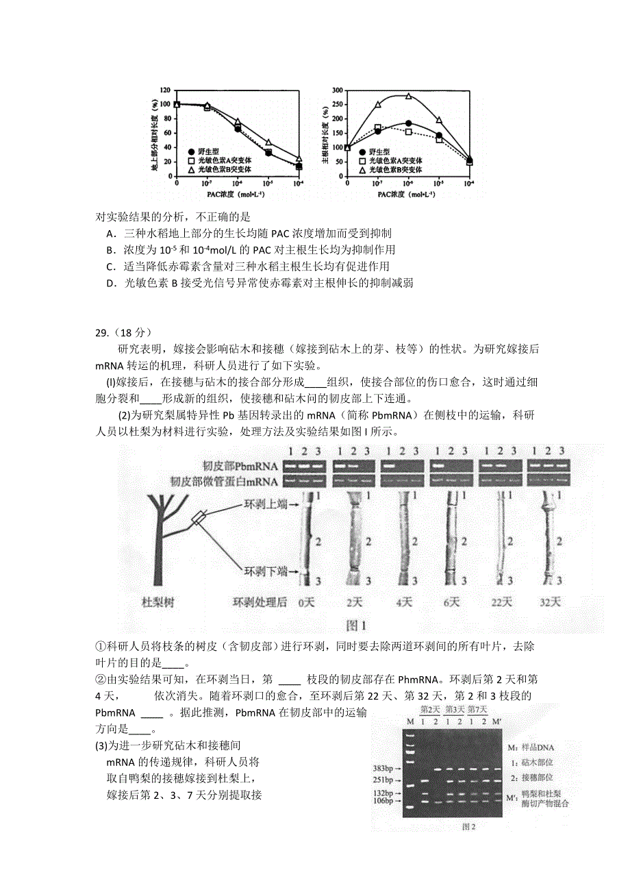 北京市海淀区2017届高三5月期末练习（二模）理综生物试题 WORD版含答案.doc_第2页