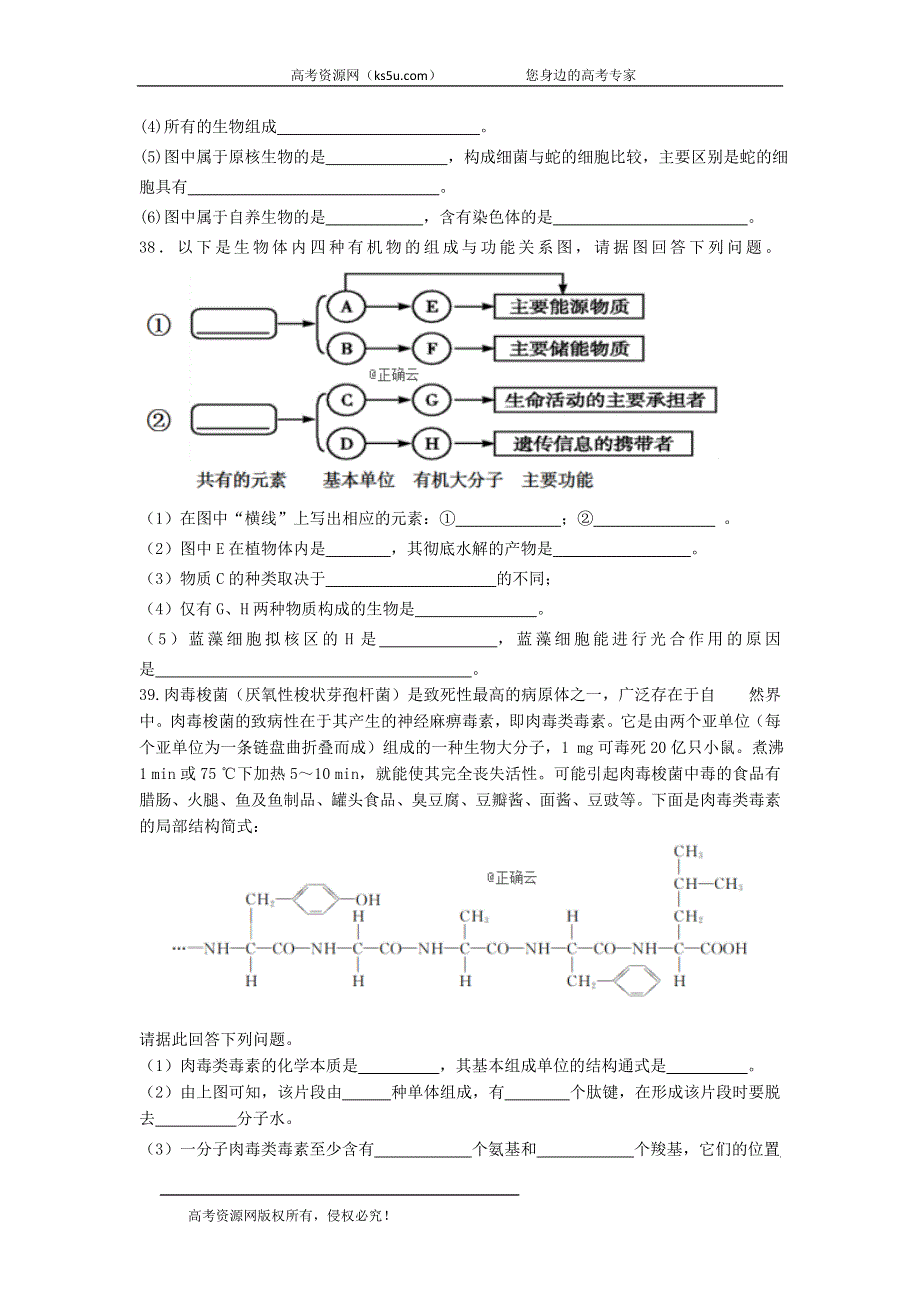 内蒙古自治区包头市第二中学2019-2020学年高一上学期10月月考生物试卷 WORD版含答案.doc_第3页