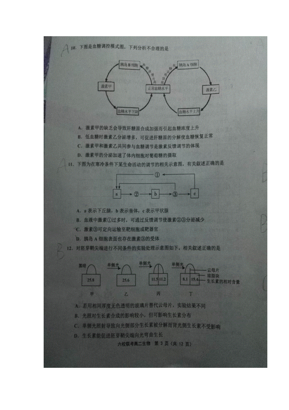 天津市七校（静海一中、宝坻一中、杨村一中等）2018-2019学年高二上学期期末考试生物试题 扫描版缺答案.doc_第3页