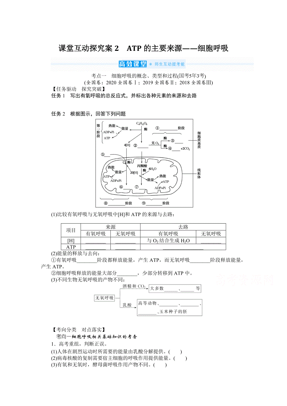 2022届新高考生物人教版一轮复习课堂探究案：1-3-2 ATP的主要来源——细胞呼吸 WORD版含解析.docx_第1页