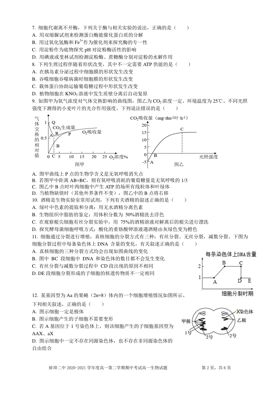安徽省蚌埠市第二中学2020-2021学年高一下学期期中考试生物试题 PDF版含答案.pdf_第2页