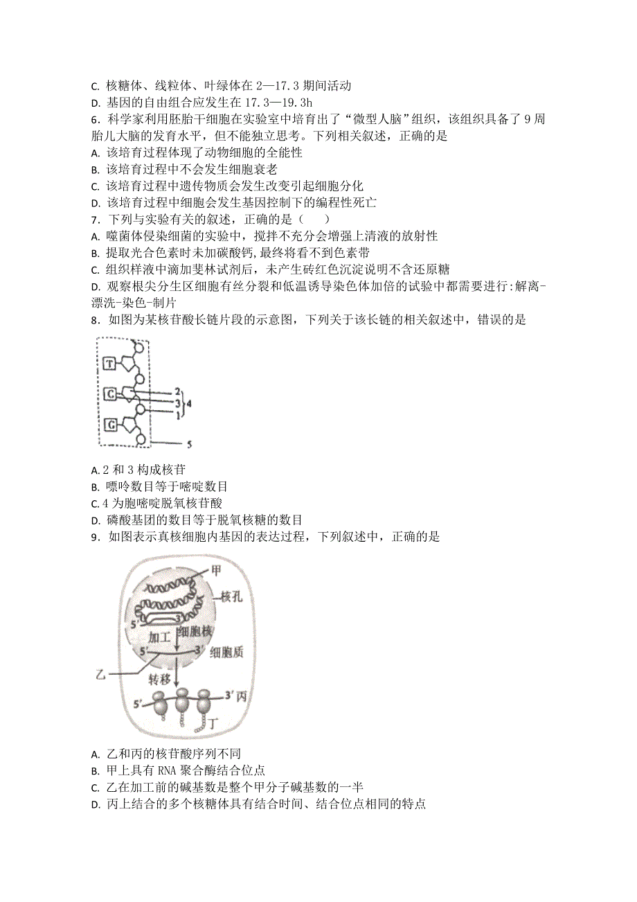 山东省滕州市实验高中2017届高三生物4月份阶段性自测题 WORD版含答案.doc_第2页