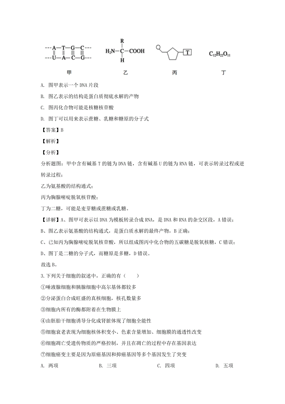 广东省汕头市金山中学2019-2020学年高二生物上学期期末考试试题（含解析）.doc_第2页