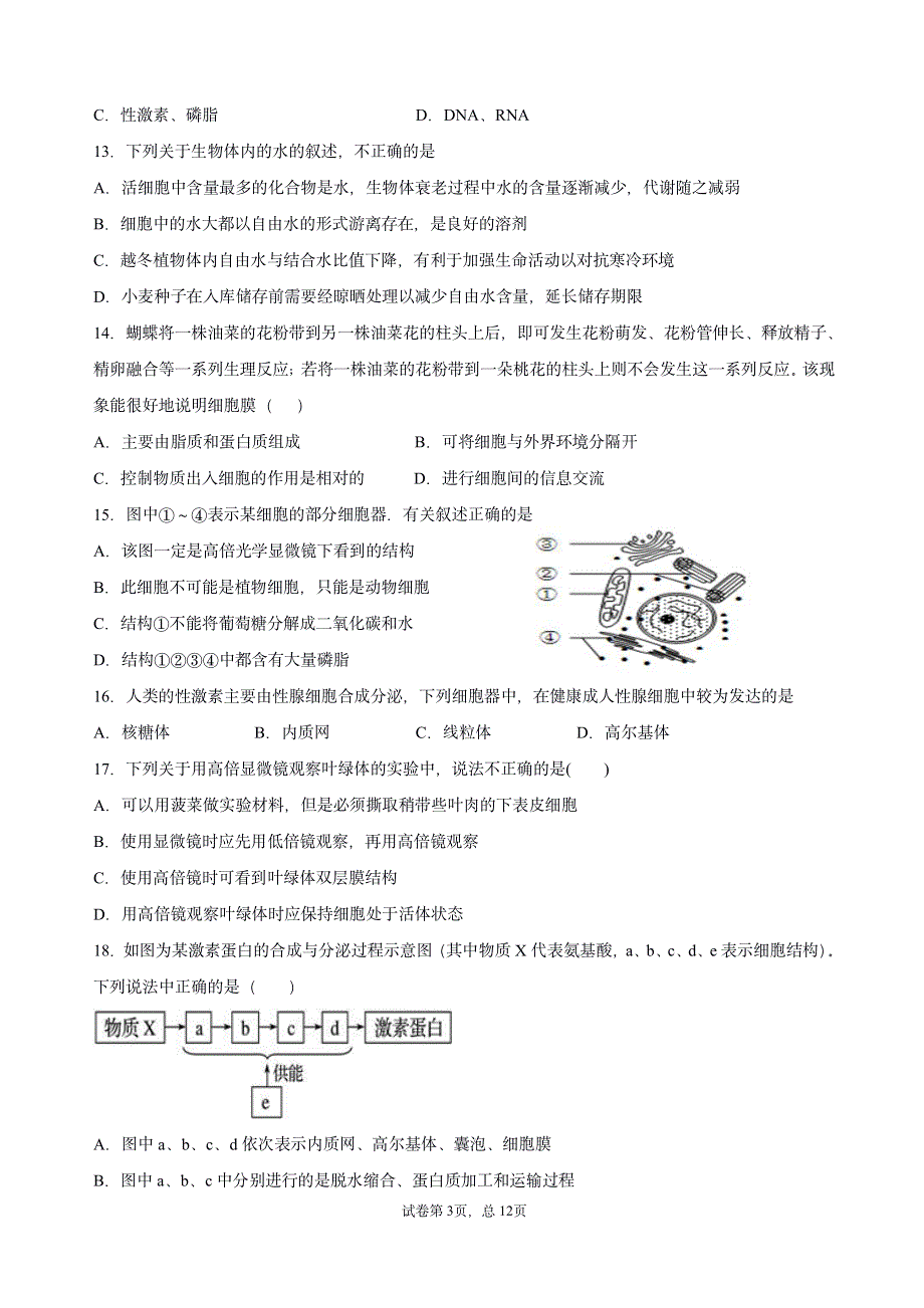 山东省滕州市第一中学2019-2020学年高一12月份阶段检测生物试题 PDF版含答案.pdf_第3页