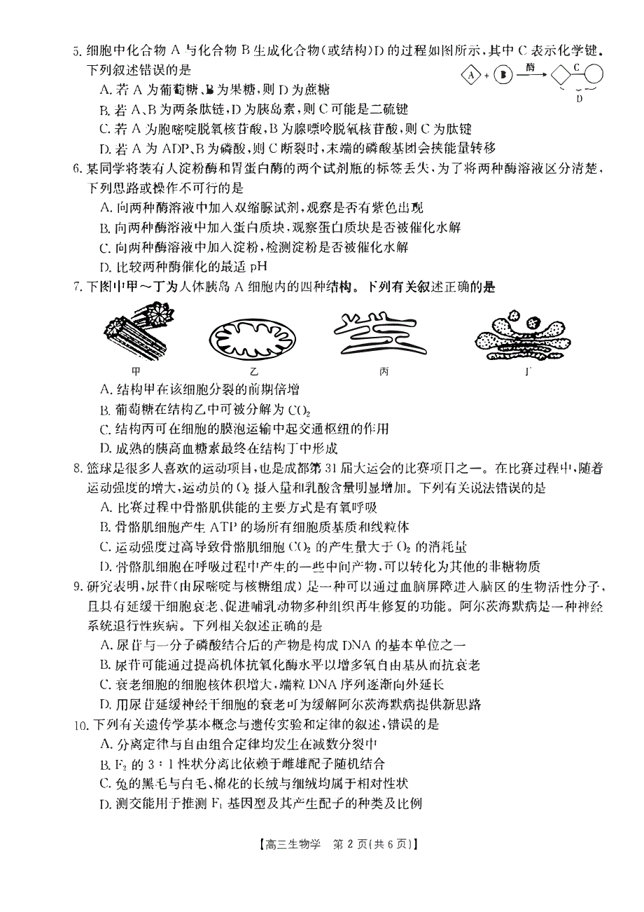 辽宁省铁岭2023-2024高三生物上学期期中考试试题(pdf).pdf_第2页