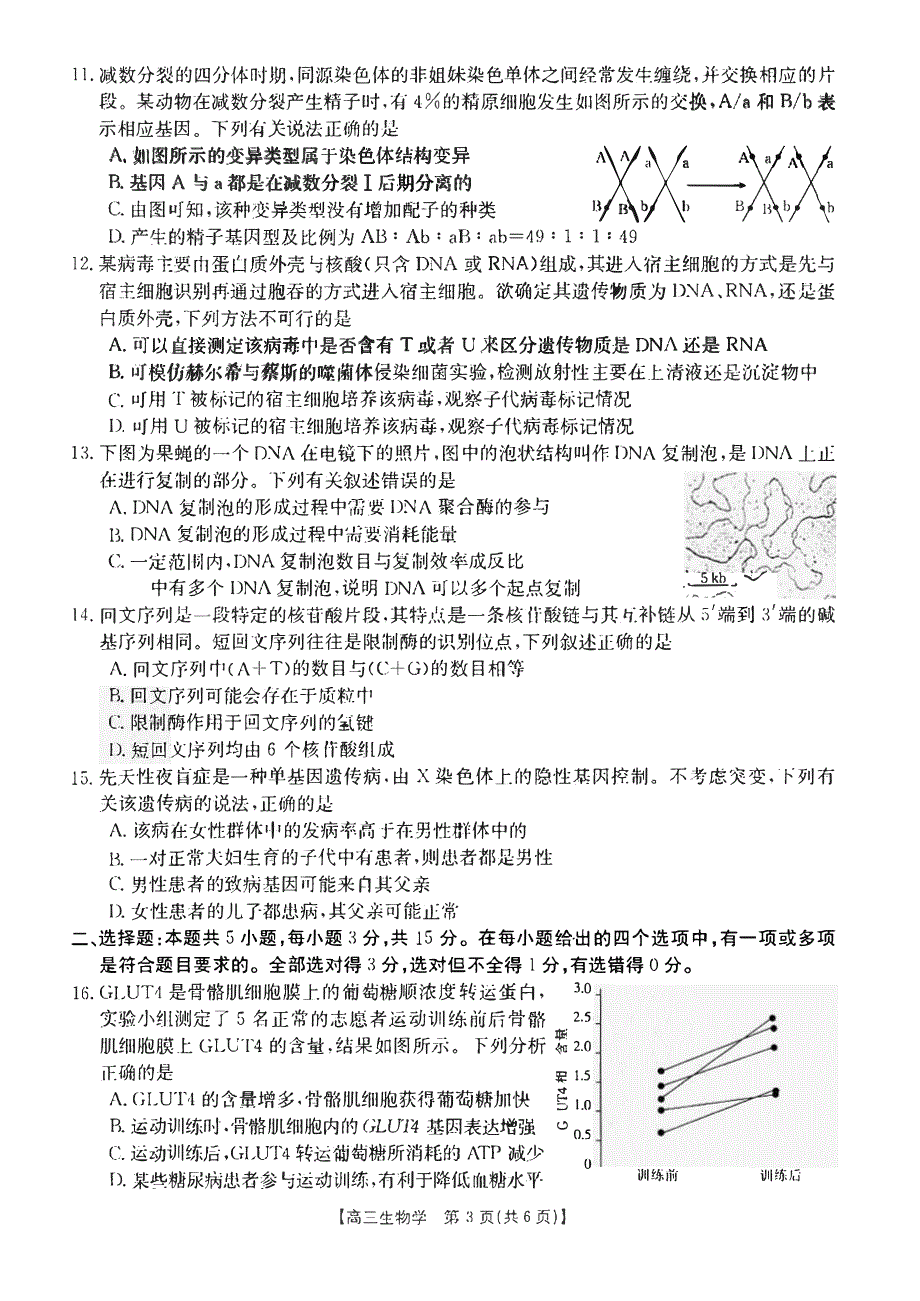 辽宁省铁岭2023-2024高三生物上学期期中考试试题(pdf).pdf_第3页