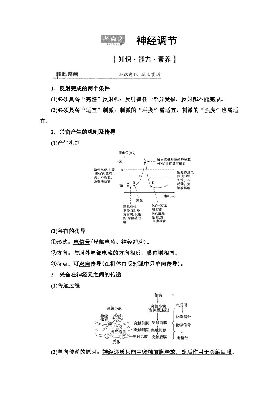 2020高考生物大二轮新突破通用版讲义：第1部分 专题8　考点2　神经调节 WORD版含解析.doc_第1页