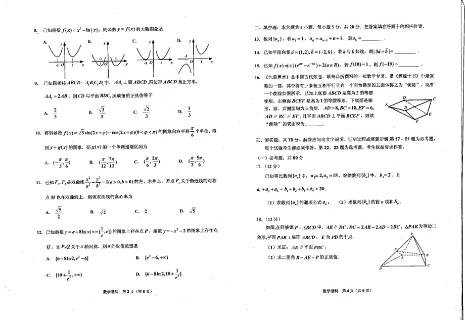 吉林省吉林市吉化第一高级中学2020届高三适应性测试数学（理科）试卷 PDF版含答案.pdf_第2页