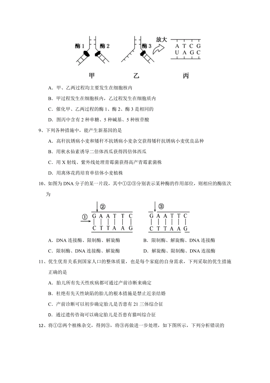 山东省滕州市第三中学2014-2015学年高二上学期期中考试生物试题 WORD版含答案.doc_第3页