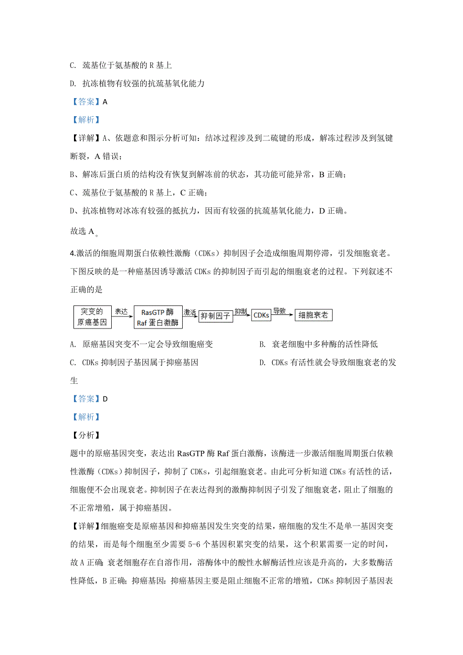 北京市海淀区人大附中2020届高三上学期摸底前练习（二）生物试题 WORD版含解析.doc_第3页