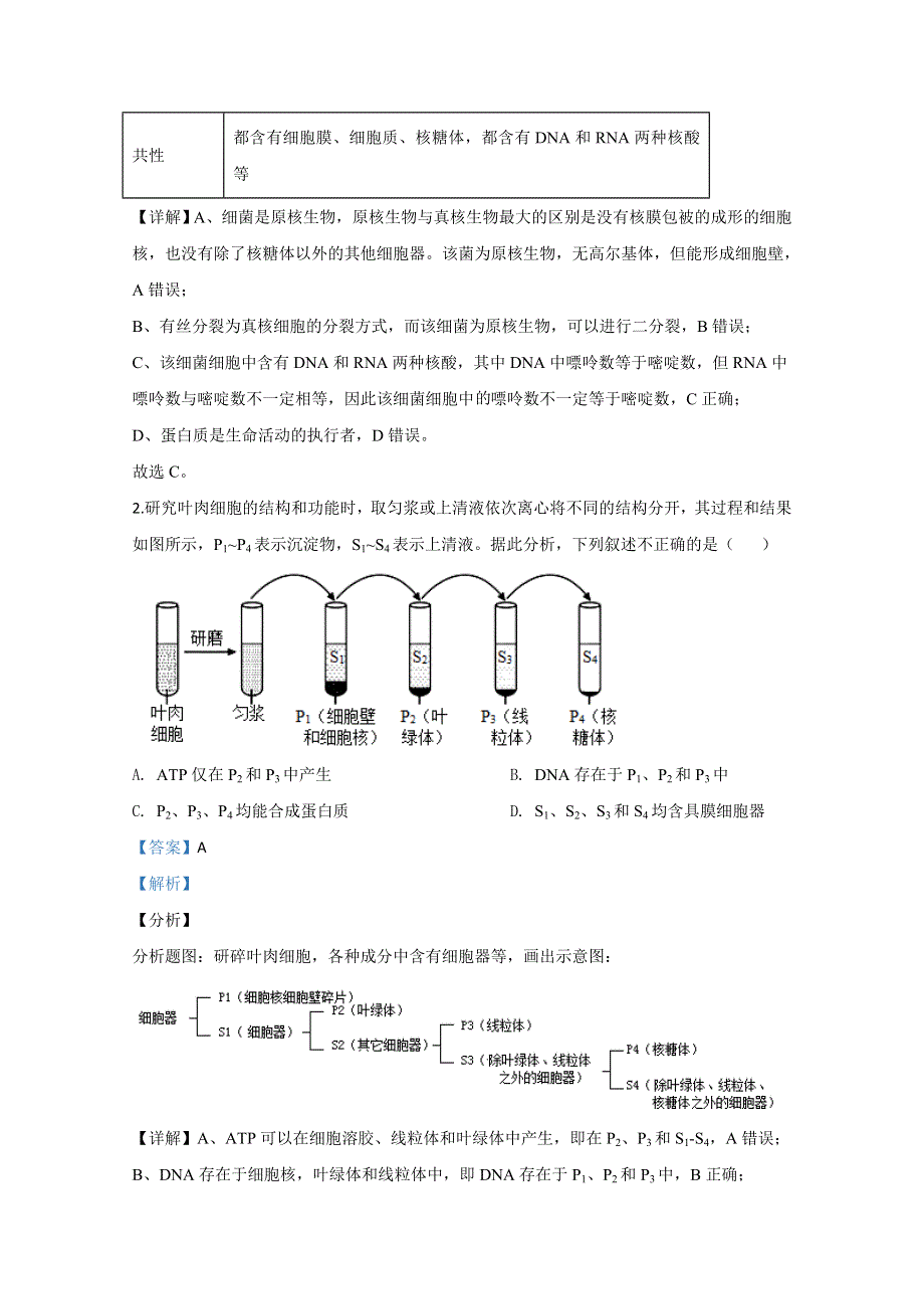 北京市海淀区人大附中2020届高三下学期开学考试生物试题 WORD版含解析.doc_第2页