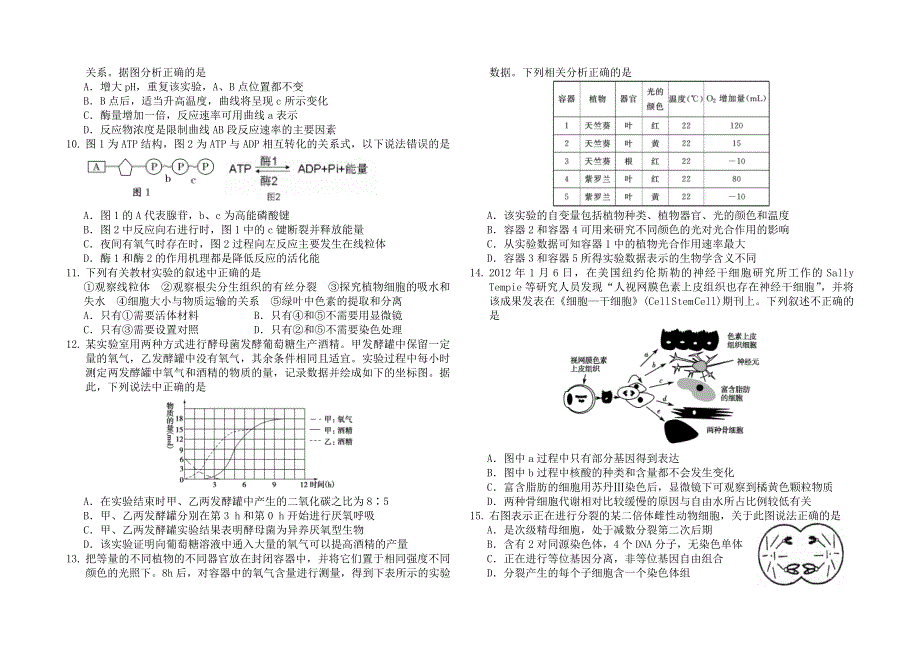 吉林省吉林市第一中学校2016届高三质量检测（六）生物试题 WORD版含答案.doc_第2页