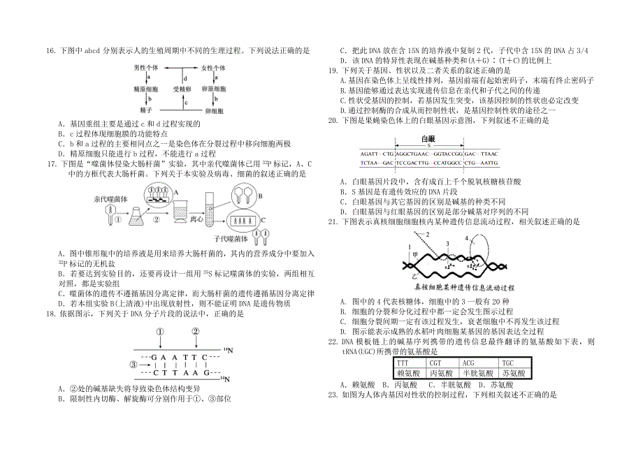 吉林省吉林市第一中学校2016届高三质量检测（六）生物试题 WORD版含答案.doc_第3页