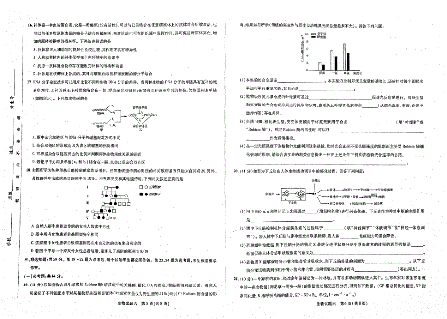 2021年高考生物 模拟卷6（PDF）（含解析）.pdf_第3页